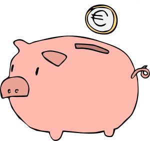 zarobki skarbonka świnka euro